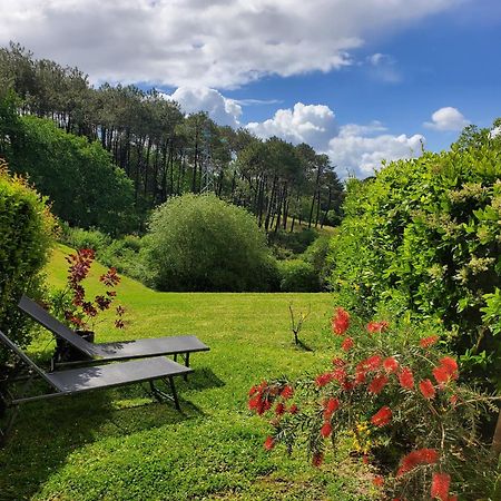 Appartement Calme Avec Jardin Bidart Biarritz Zewnętrze zdjęcie