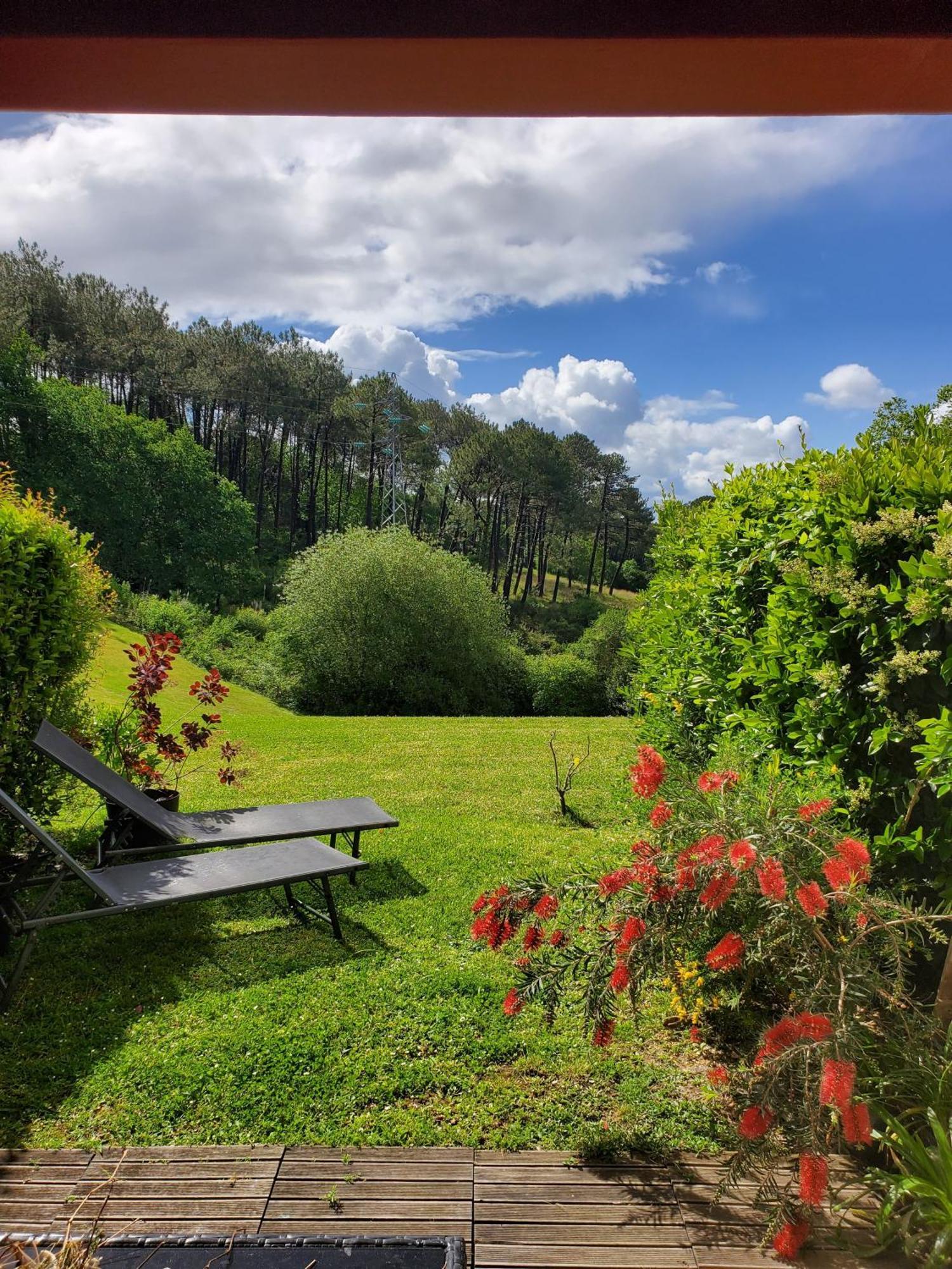 Appartement Calme Avec Jardin Bidart Biarritz Zewnętrze zdjęcie
